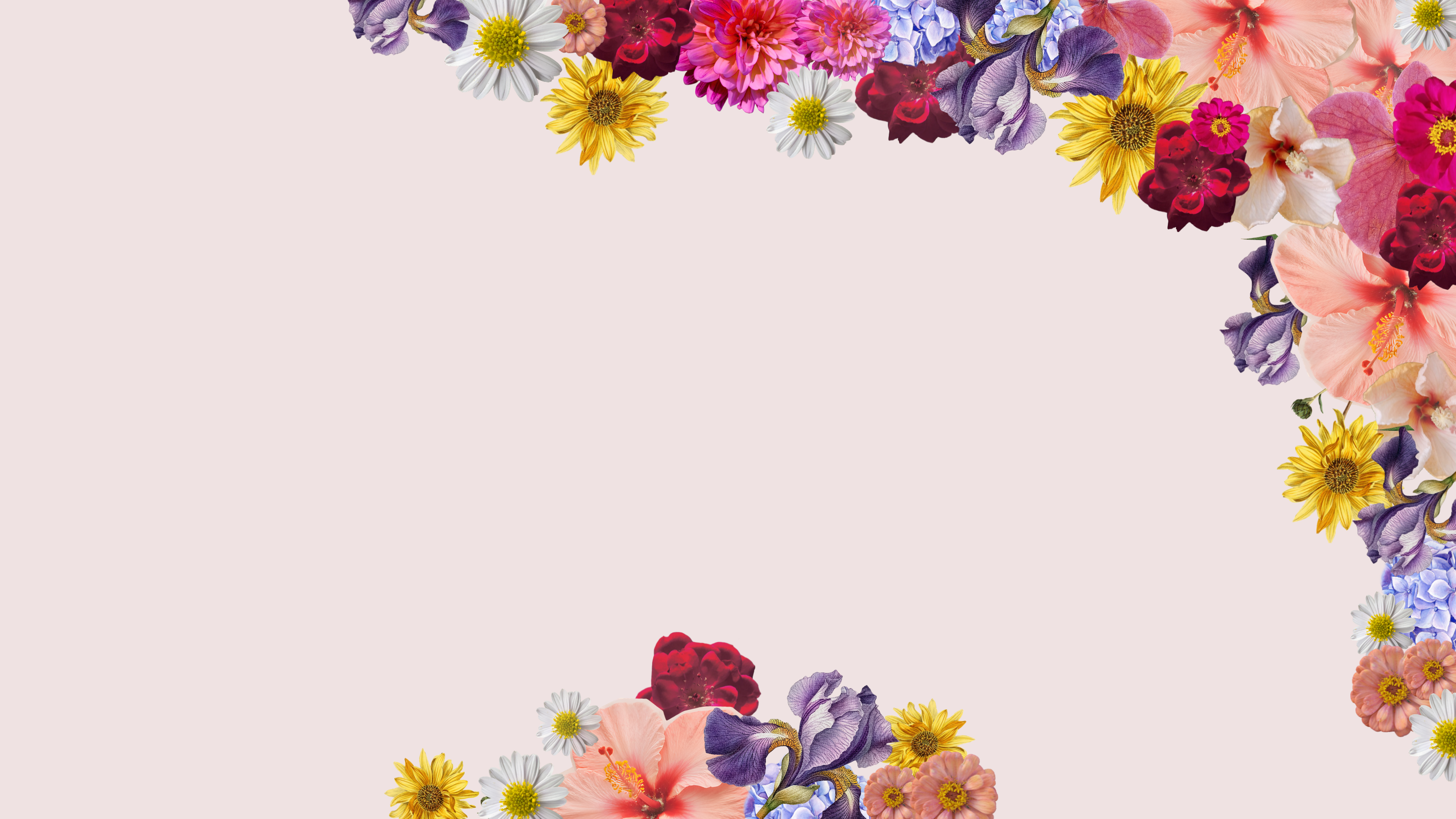 imagine di fiori diversi